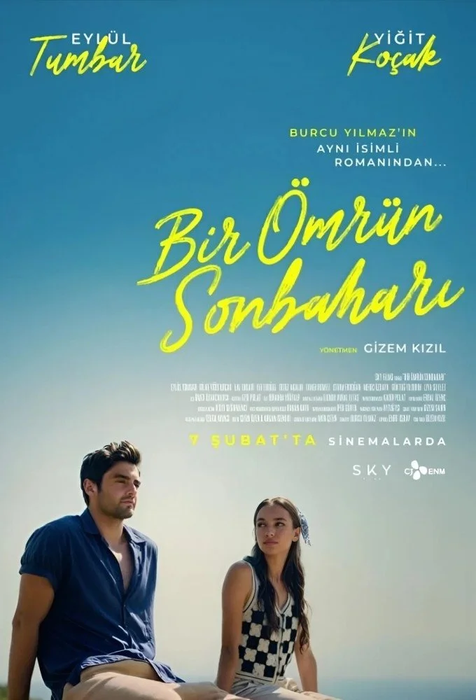 Sadece bir doğrulama…
