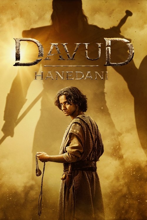 Davud Hanedanı