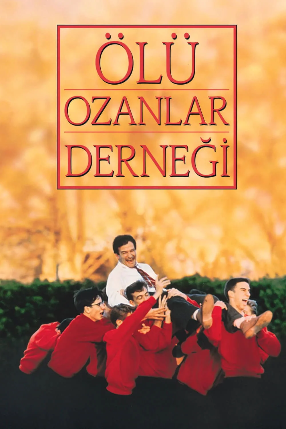 Sadece bir doğrulama…