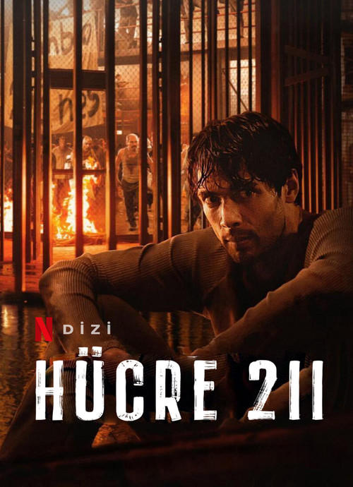 Hücre 211